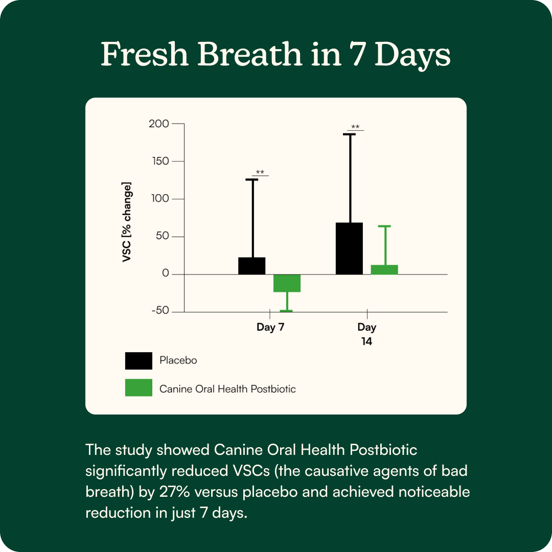 Bright Bite Dental Powder