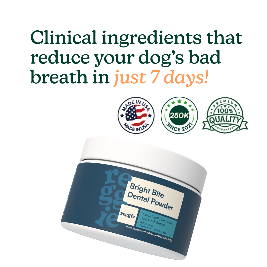 Bright Bite Dental Powder
