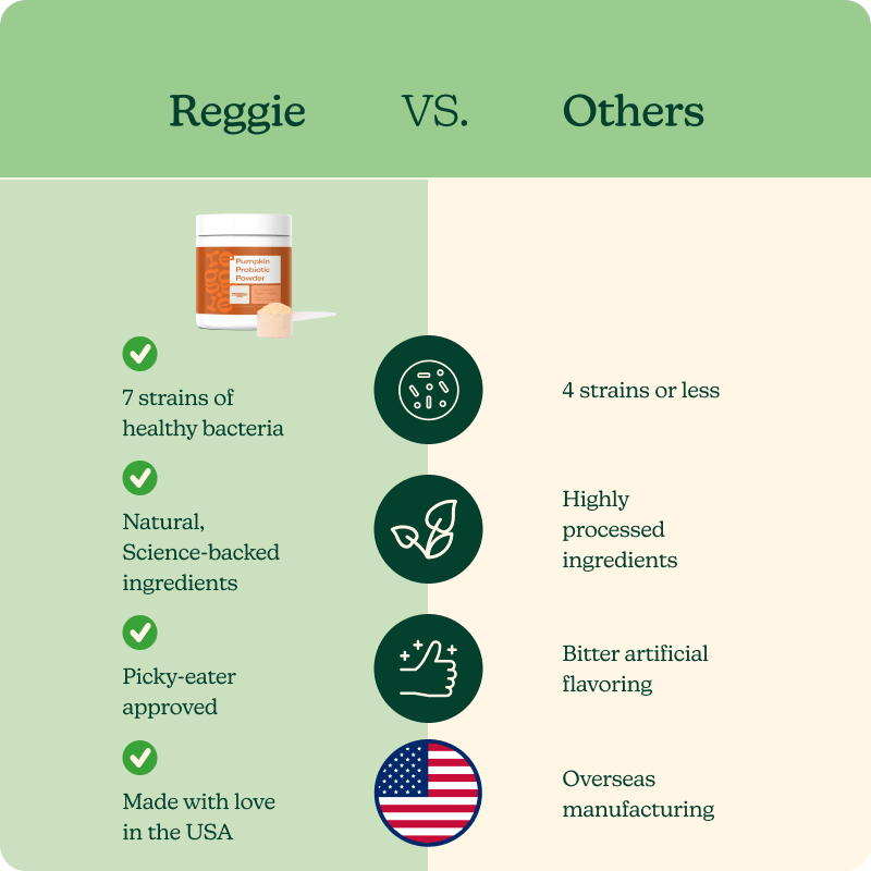 Pumpkin Probiotic Powder