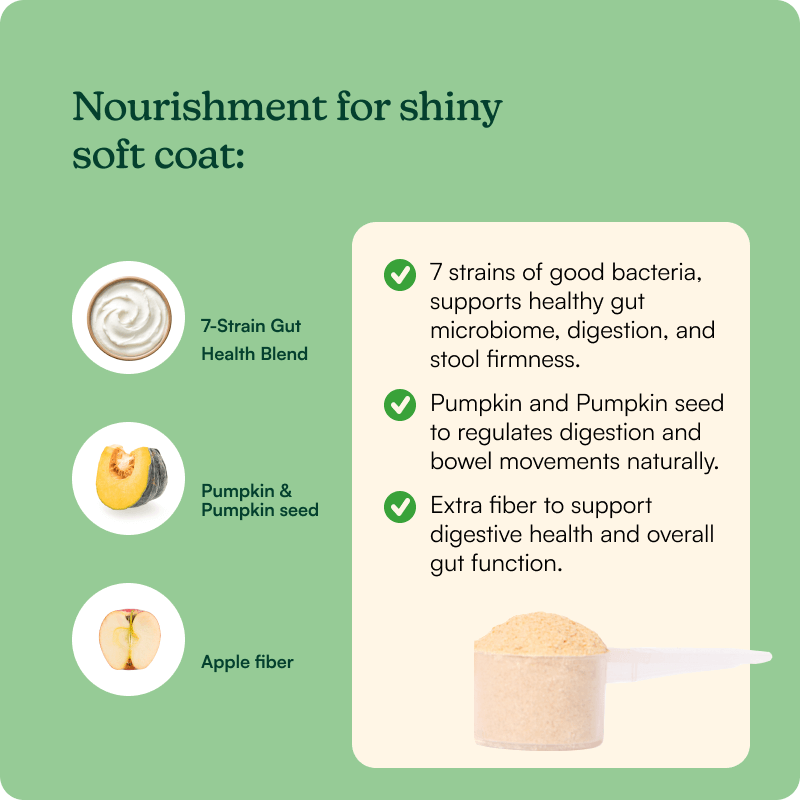 Pumpkin Probiotic Powder