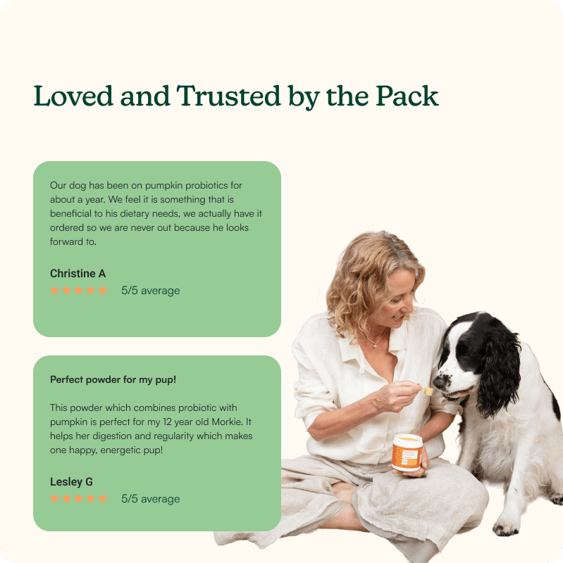 Pumpkin Probiotic Powder