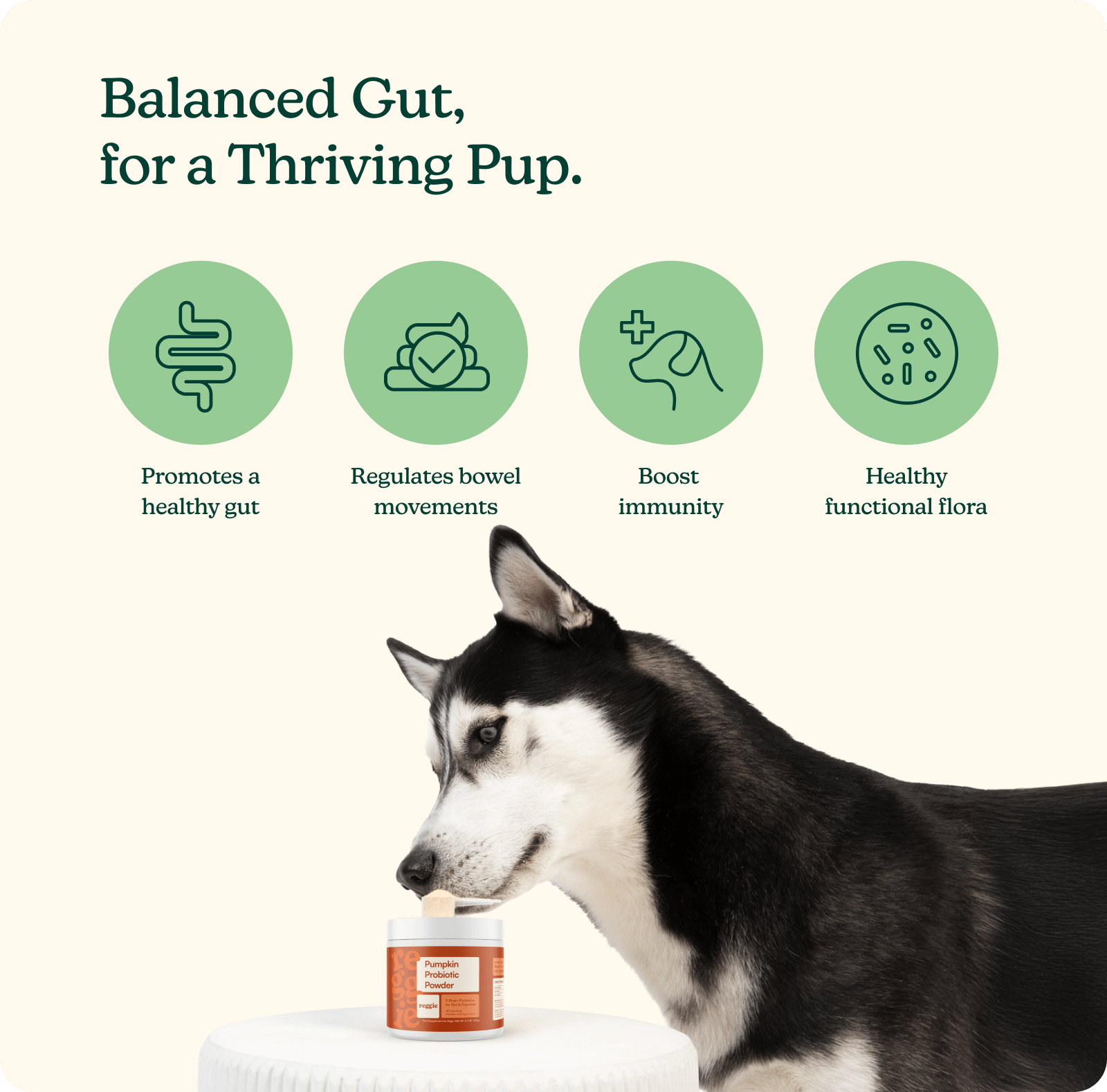 Pumpkin Probiotic Powder