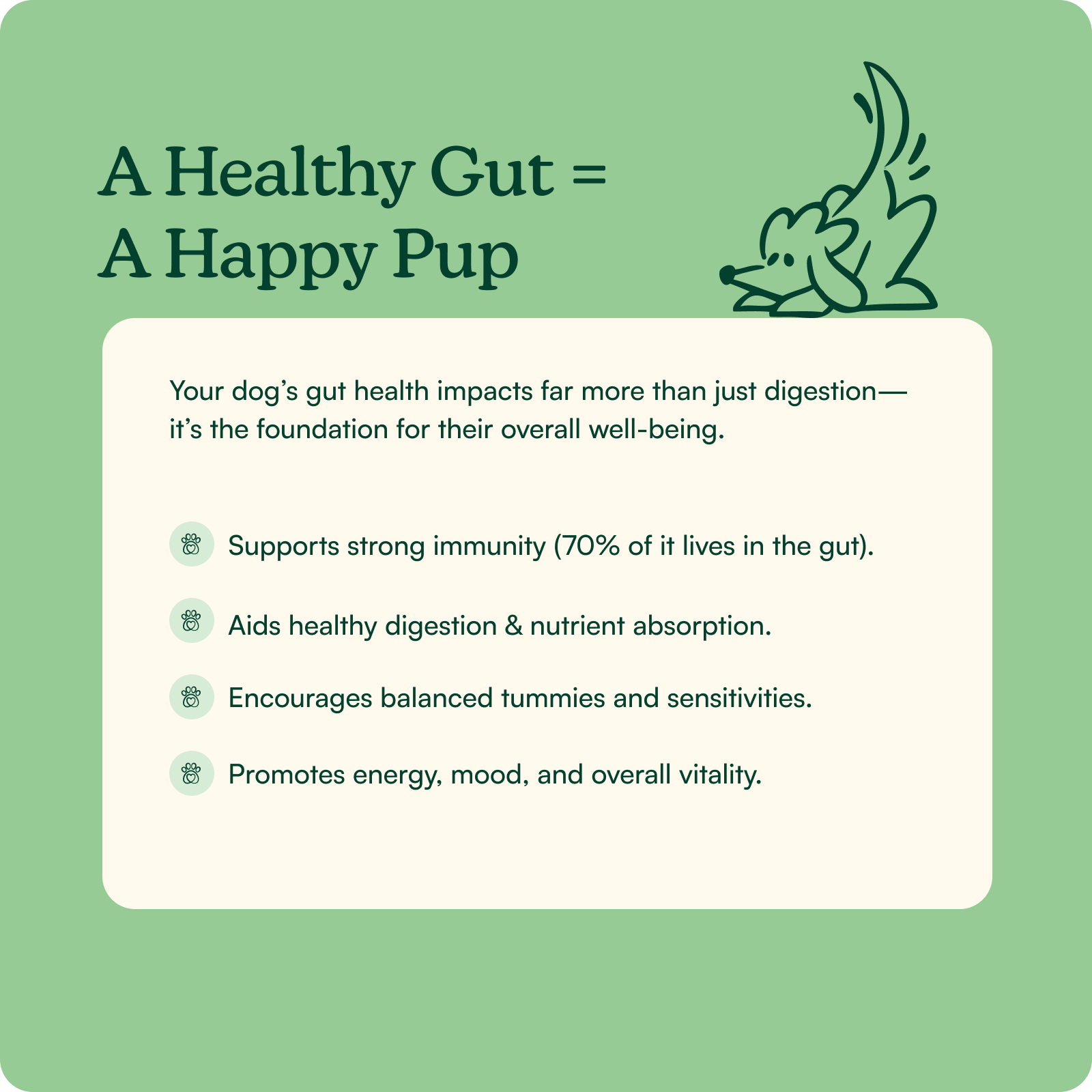 Pumpkin Probiotic Powder