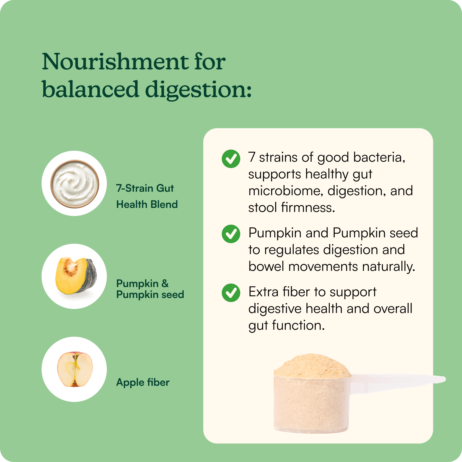 Pumpkin Probiotic Powder