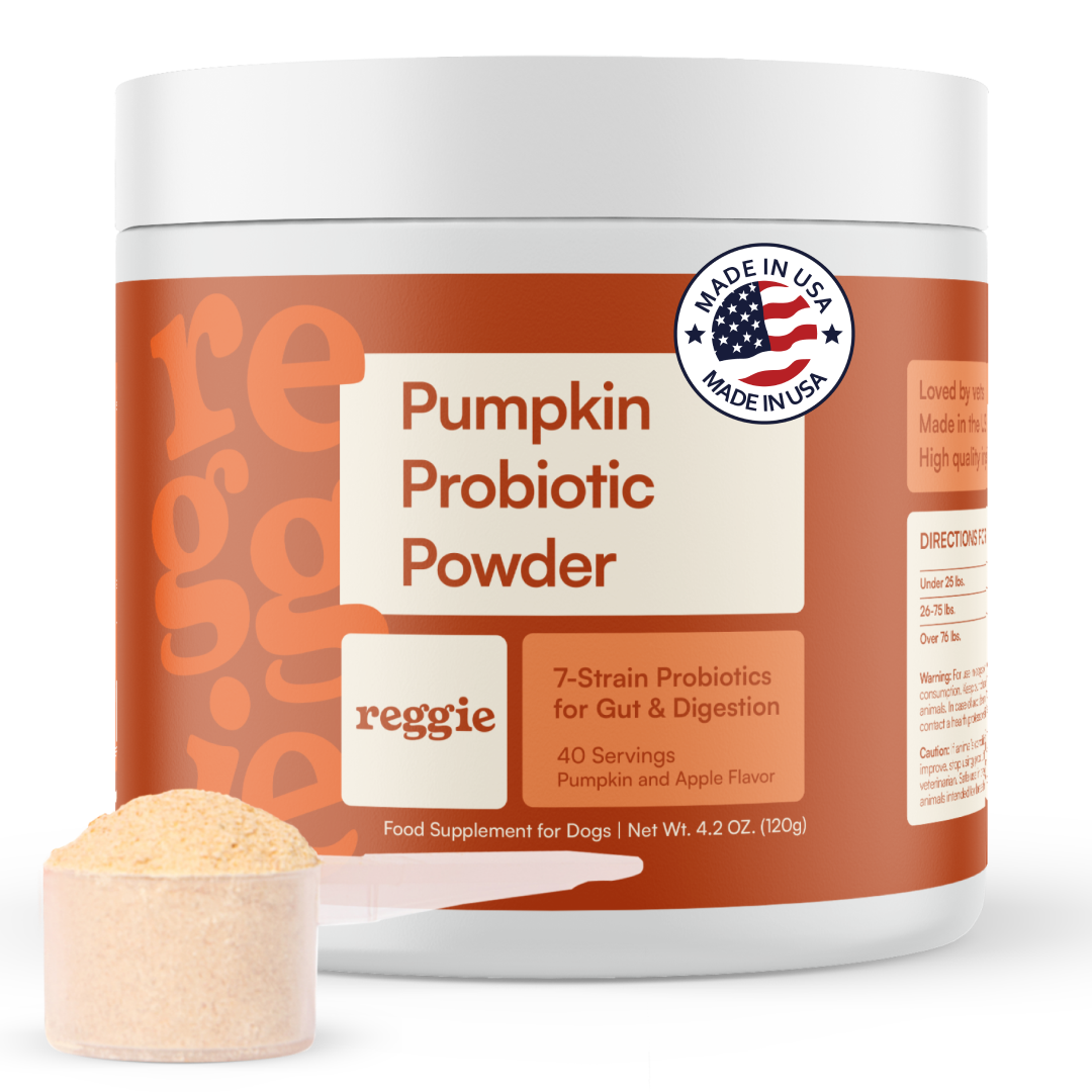Pumpkin Probiotic Powder
