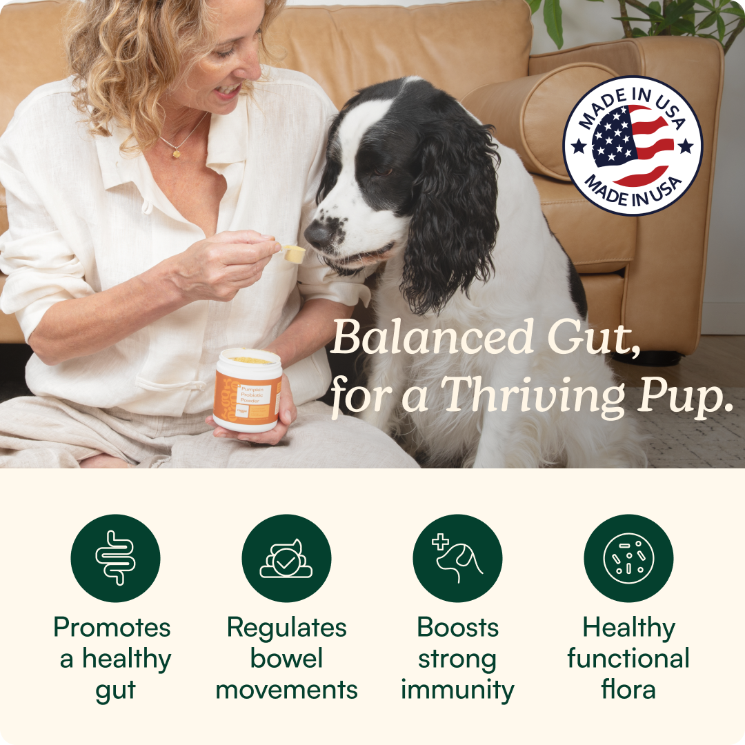 Pumpkin Probiotic Powder