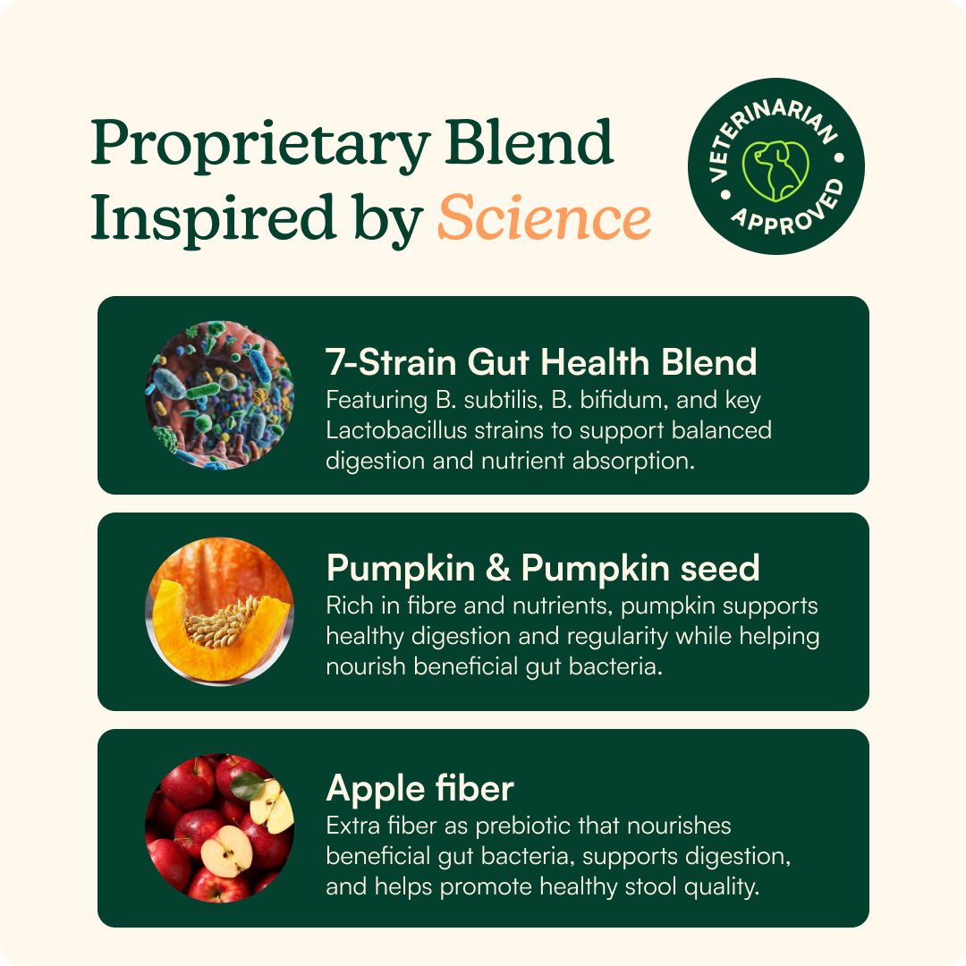 Pumpkin Probiotic Powder