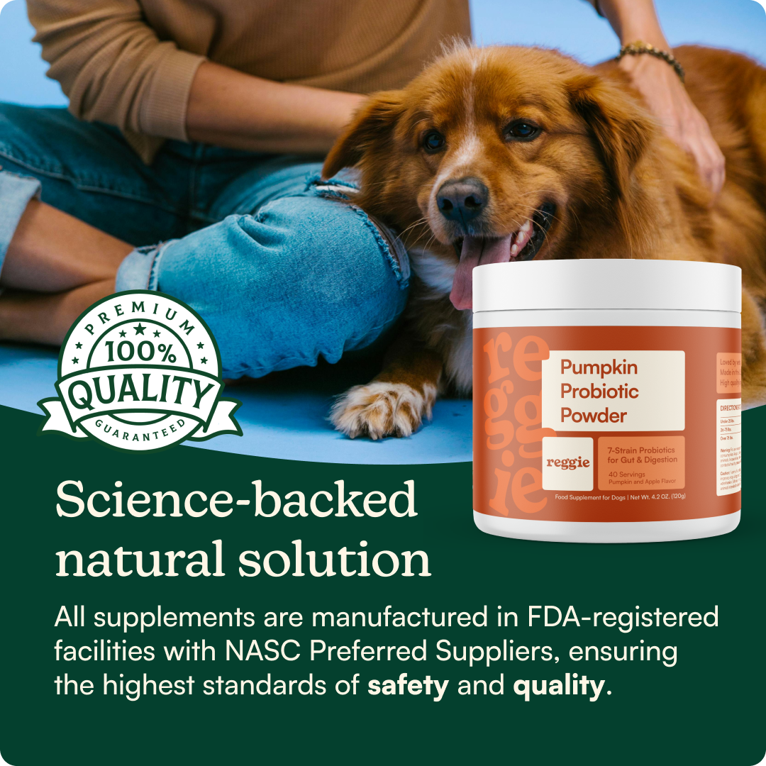 Pumpkin Probiotic Powder