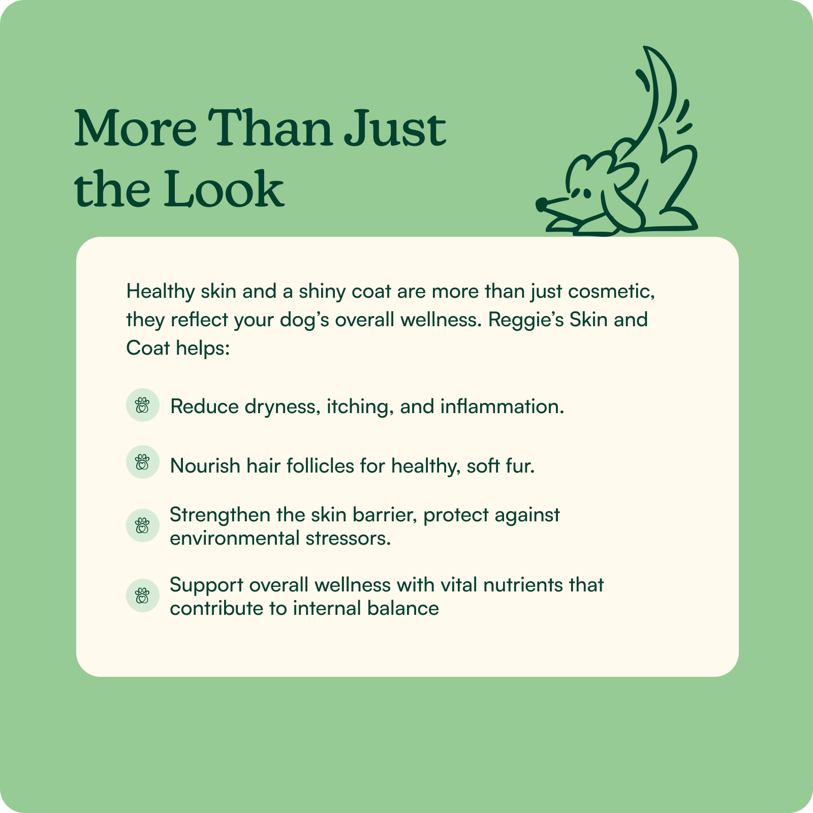 Evening Skin + Coat Chews