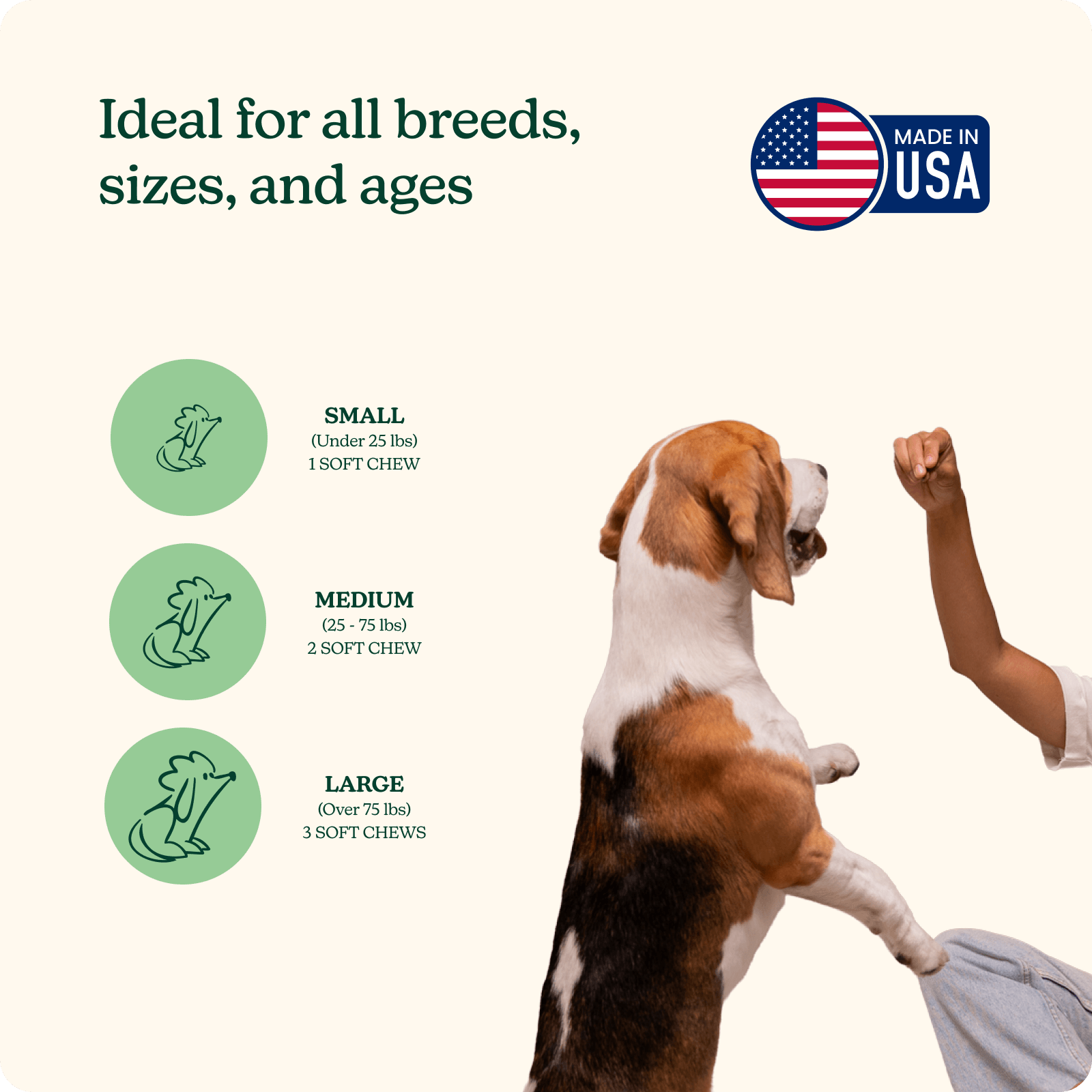 Evening Skin + Coat Chews