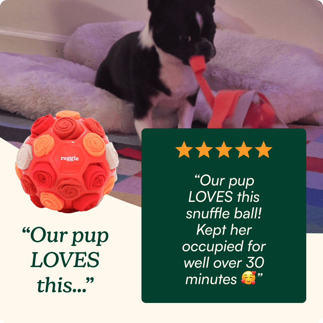 Snuffle Ball For Dogs