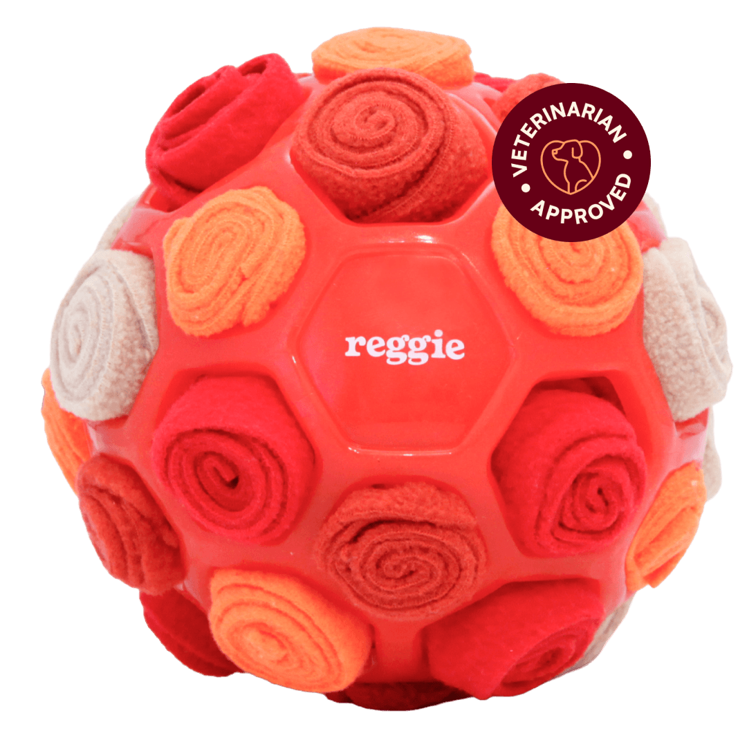 Snuffle Ball For Dogs