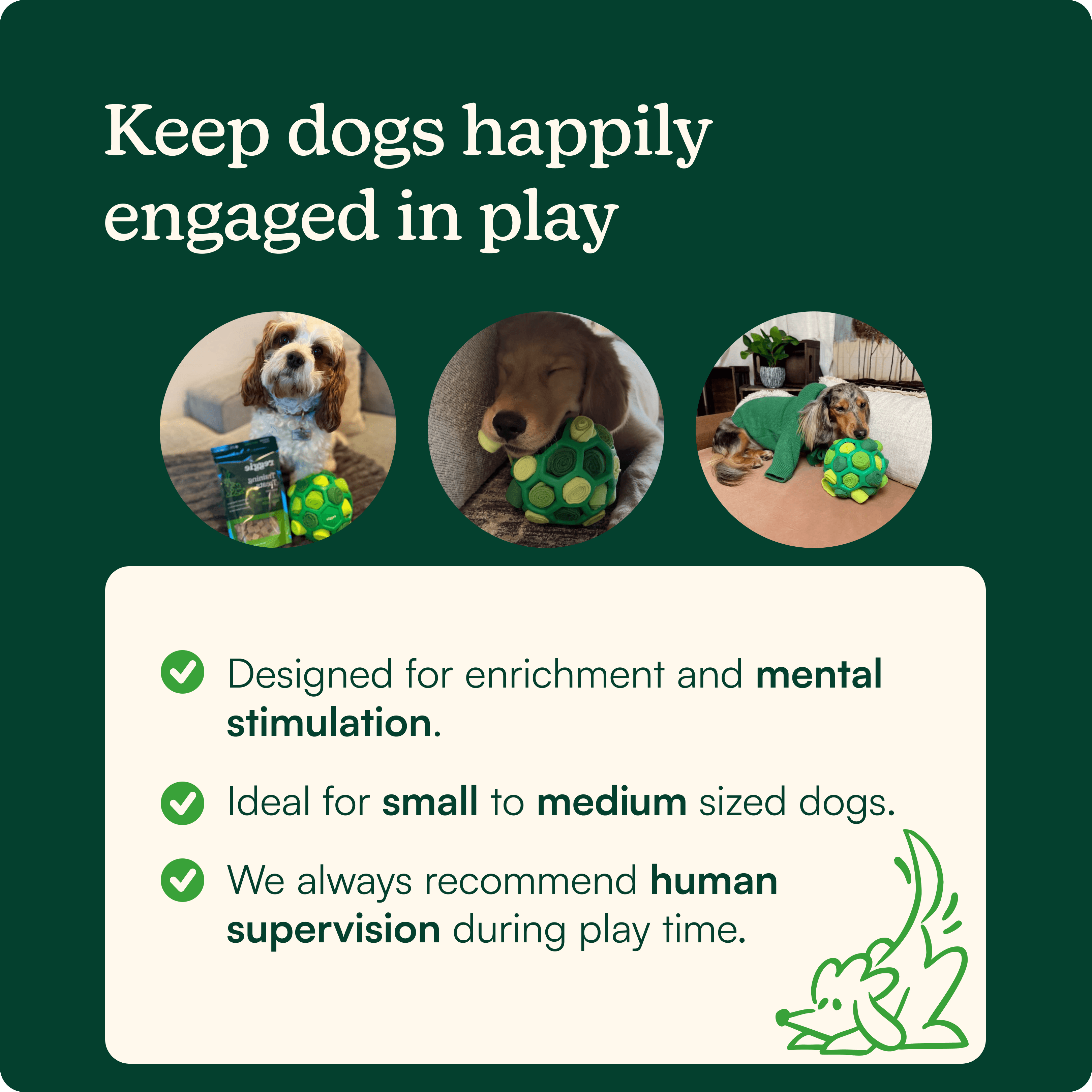 Snuffle Ball For Dogs