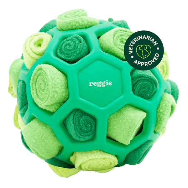 Snuffle Ball – Interactive Treat Dispenser Toy | Reggie