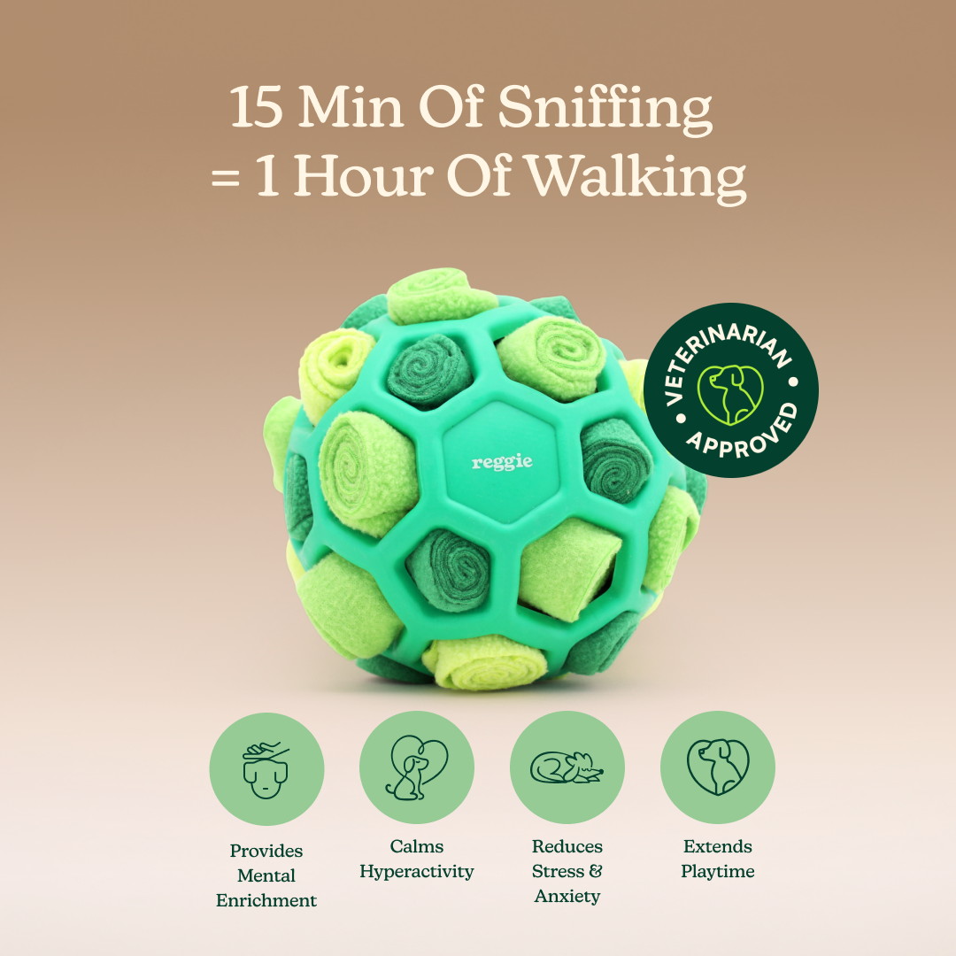 Snuffle Ball For Dogs