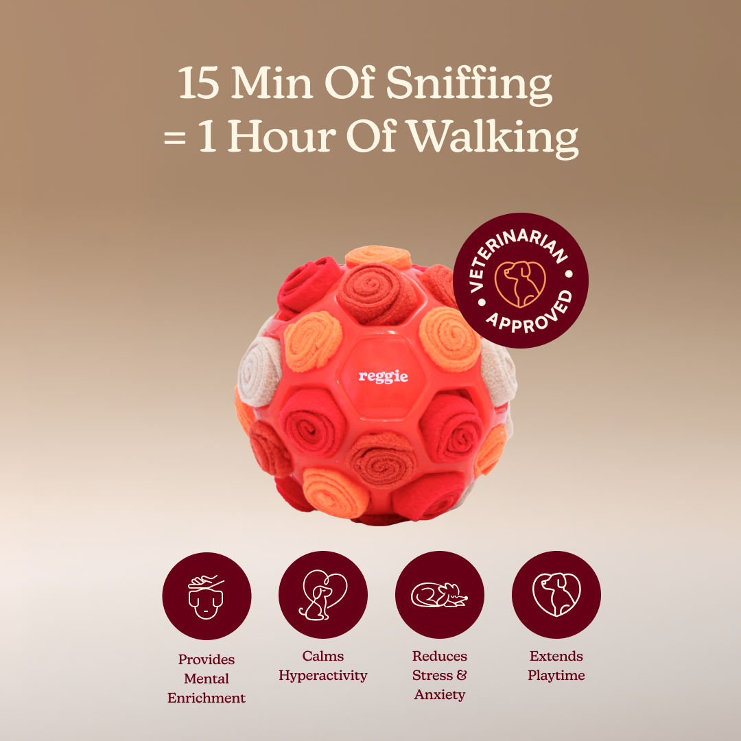 Snuffle Ball For Dogs