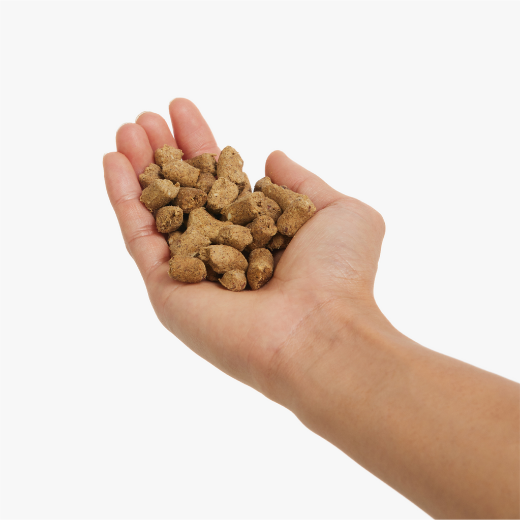 Freeze 2024 dried treats