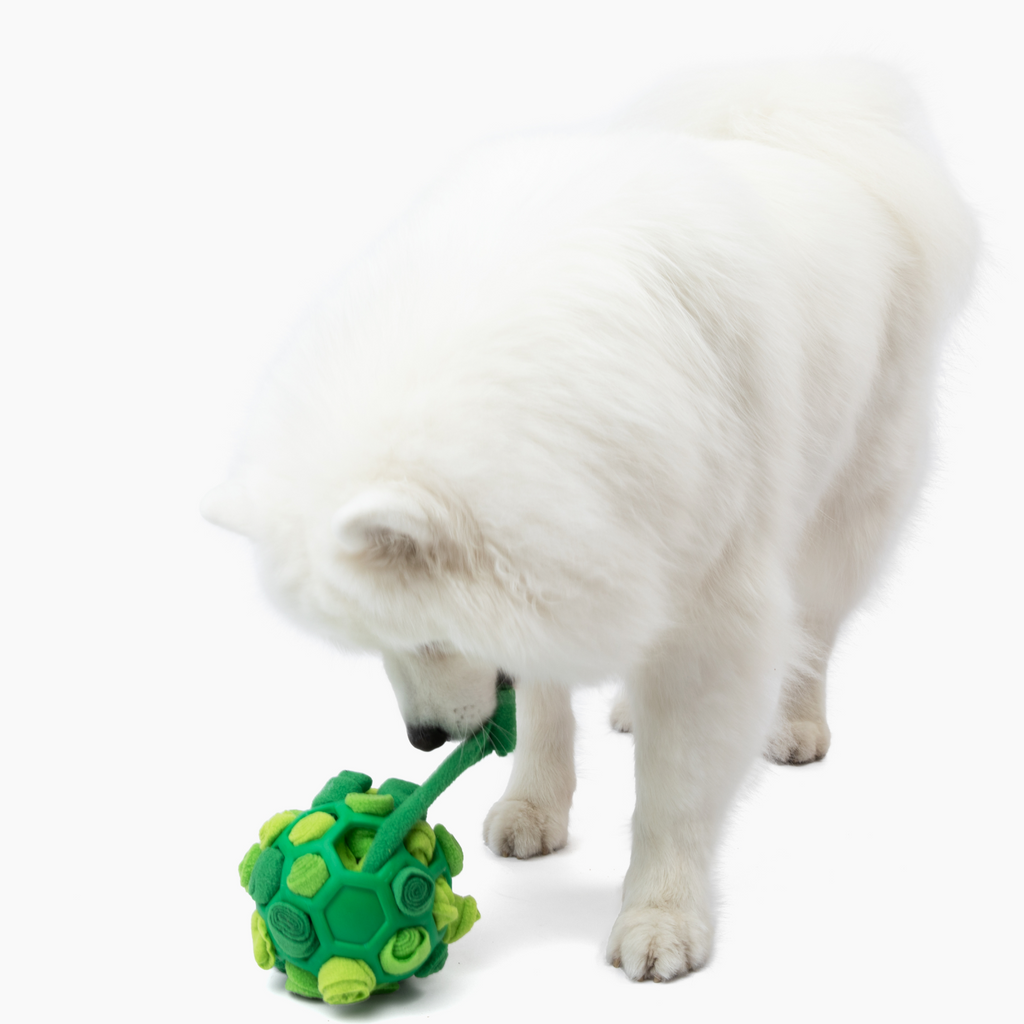 Dog Toys, Interactive Pull Toys, Boredom Relief, Energy Digestion