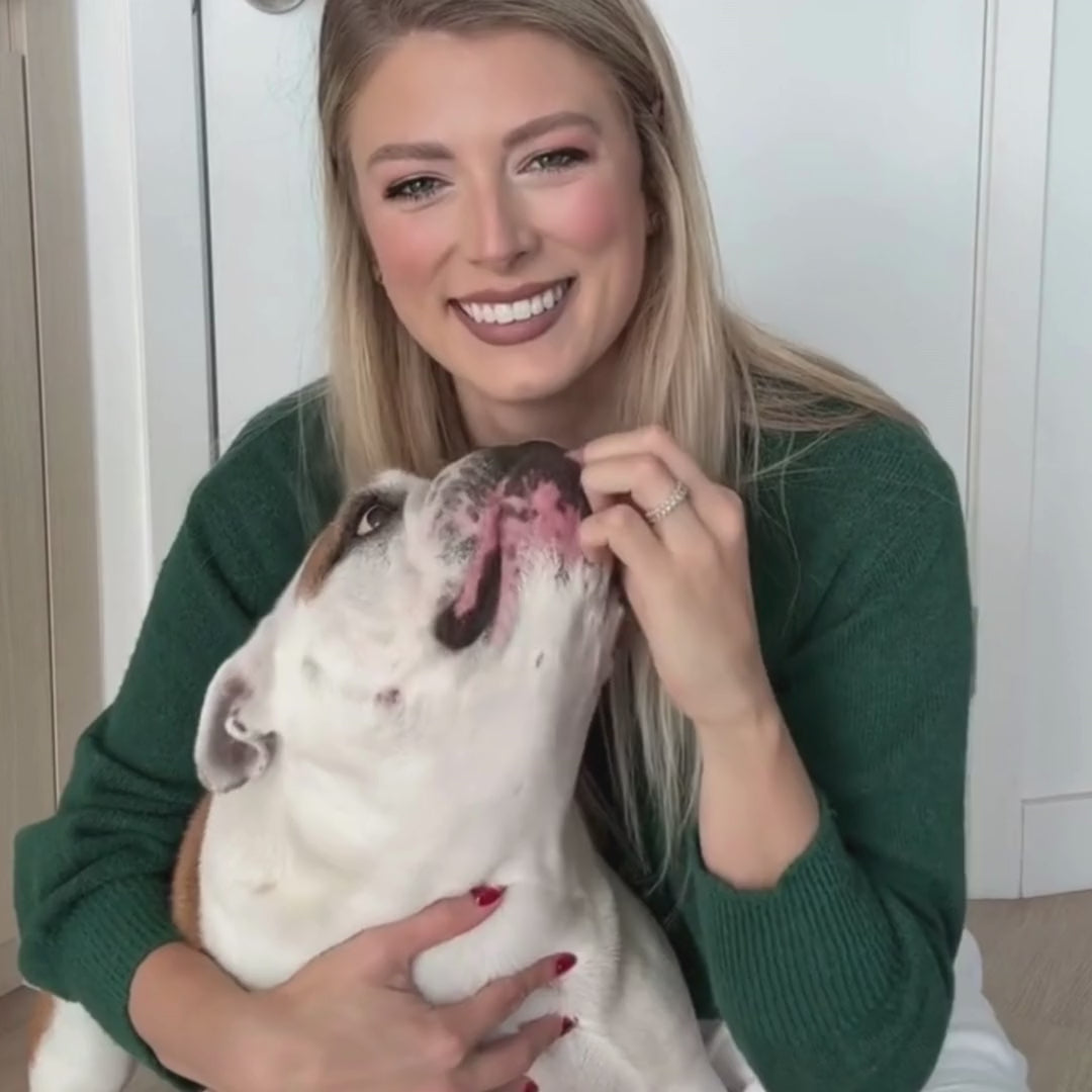 Load video: Stimulating Feeder Mat