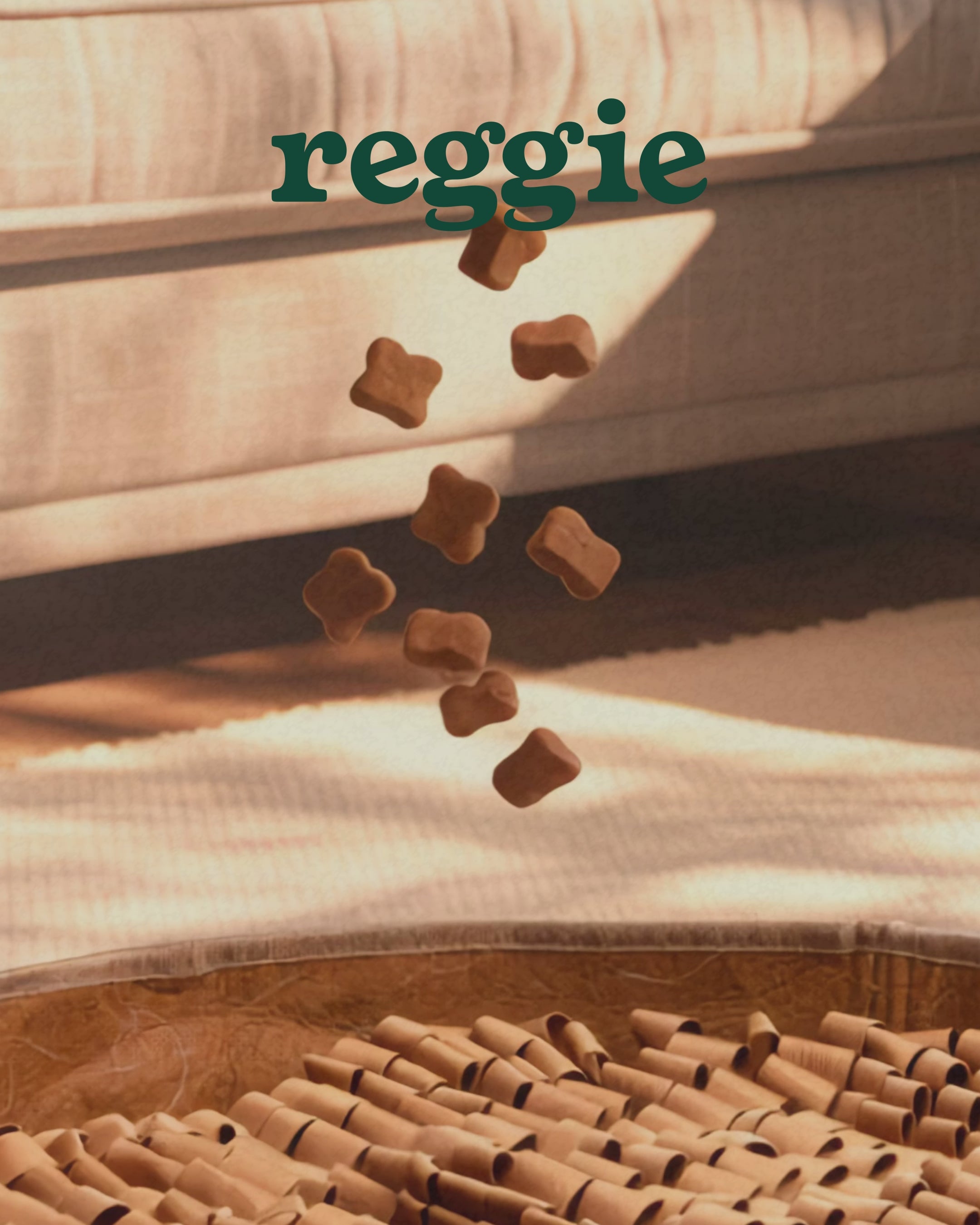 Load video: High-Protein Feeder Mat Bundle