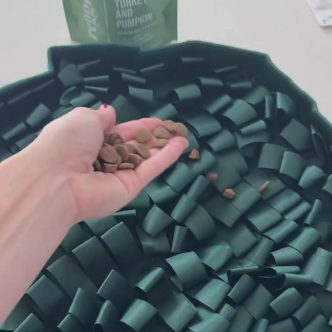 Load video: Stimulating Feeder Mat