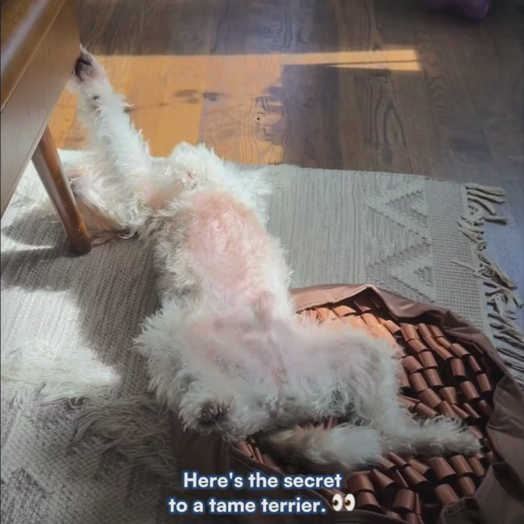 Load video: Starter Soothe