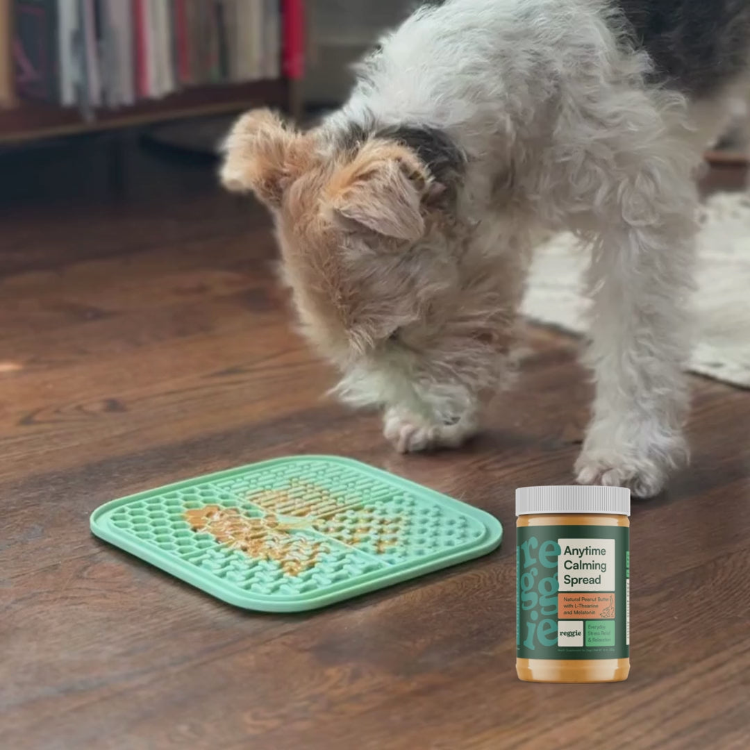 Load video: Anytime Calming Spread