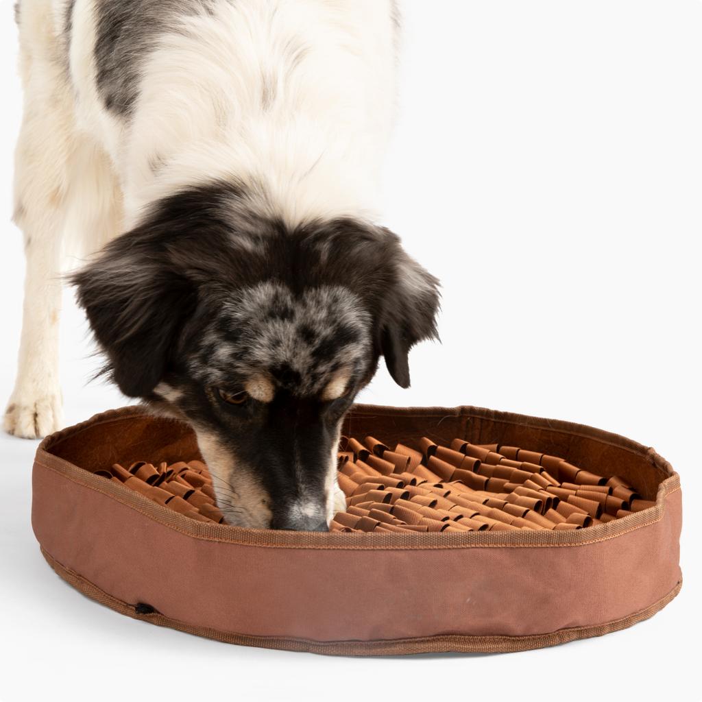 Dog sales treat mat