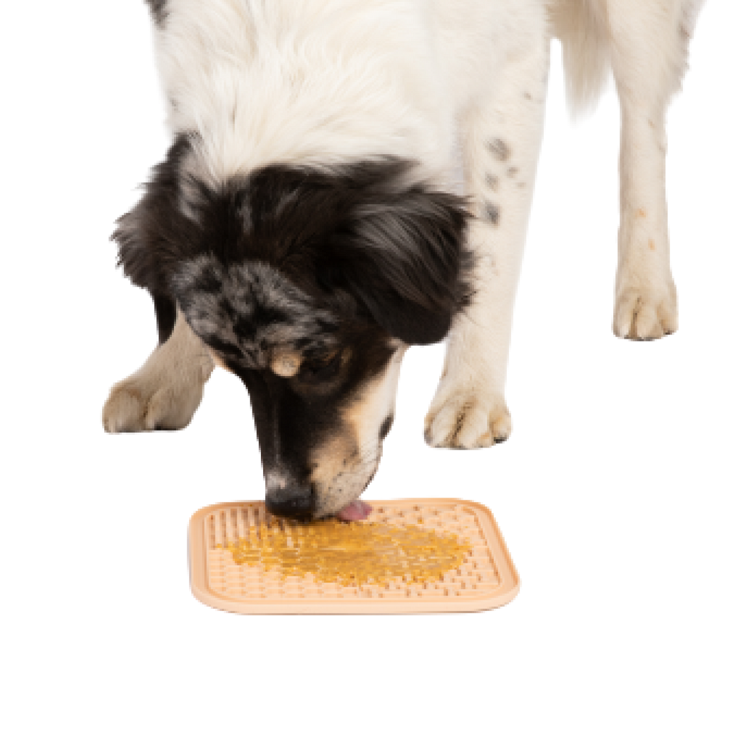 Peanut butter mat for dogs deals